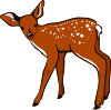 Baby Deer a short story by Elizabeth Wrobel