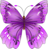 A Butterfly a high flying rhyme by Elizabeth Wrobel