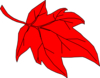 A Red Leaf an autumn rhyme by Elizabeth Wrobel