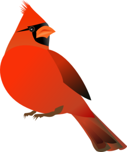Three Cardinals a high flying rhyme by Elizabeth Wrobel