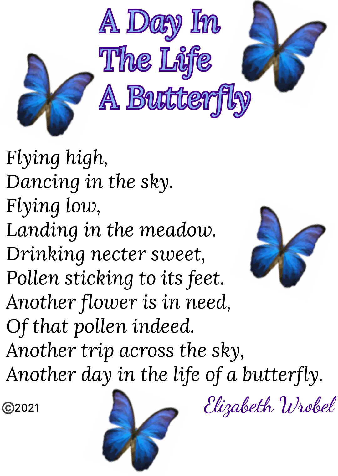 A Day In The Life Of A Butterfly a high flying rhyme by Elizabeth Wrobel