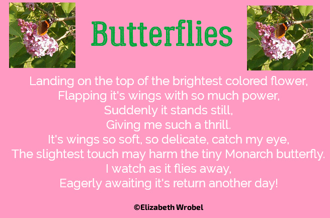 Butterflies - Elizabeth Wrobel