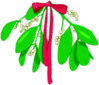 Mistletoe a holiday rhyme by Elizabeth  Wrobel