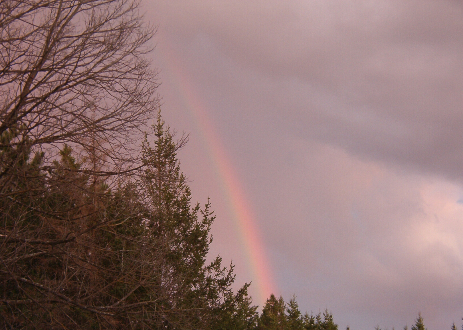 Acrostic: Rainbow a nature poem by Elizabeth Wrobel